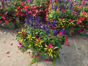 XL WINDOWBOX WINDOW GARDEN
