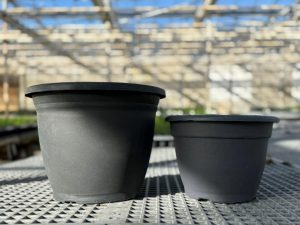 RD COMBO POTS