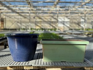 XL COMBO AND WINDOW BOX