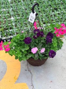 12BKST PRETTY IN PINK