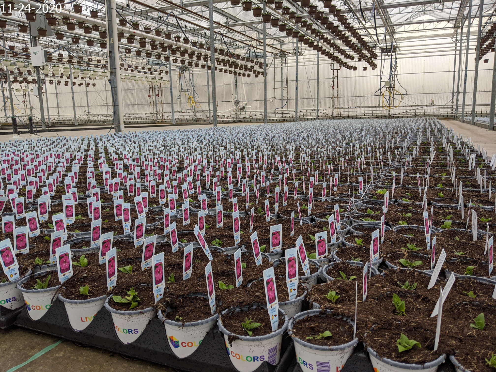 Photo Gallery Neosho Gardens