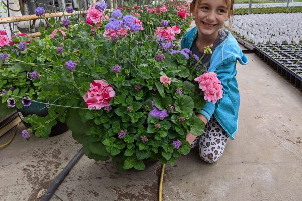 Blue Boy XL Premium Planter Combo