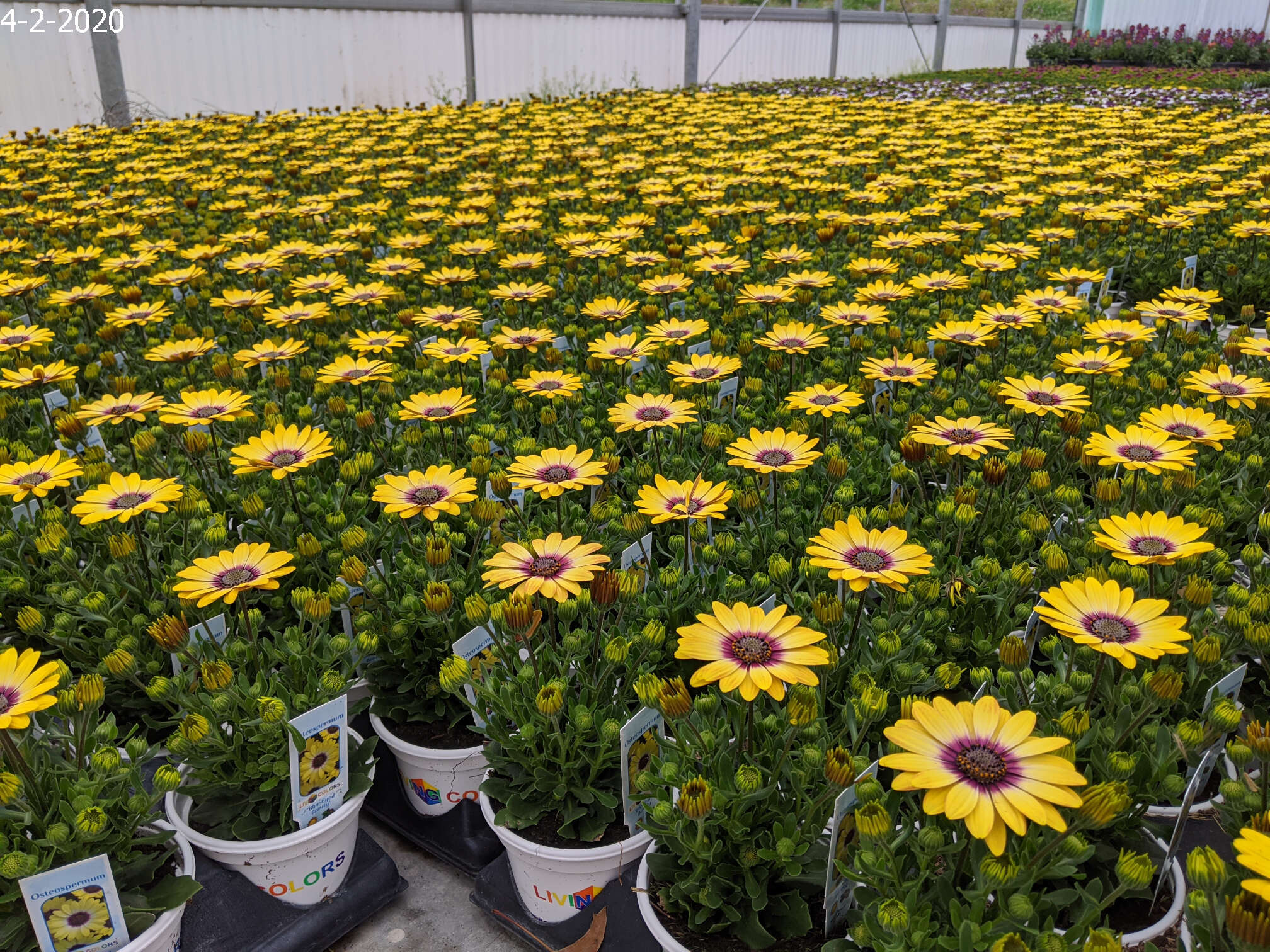 Homepage Neosho Gardens