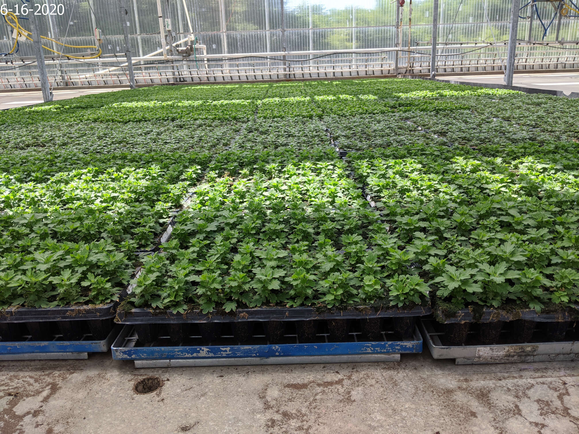 Homepage Neosho Gardens