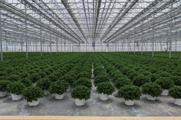 Homepage - Neosho Gardens