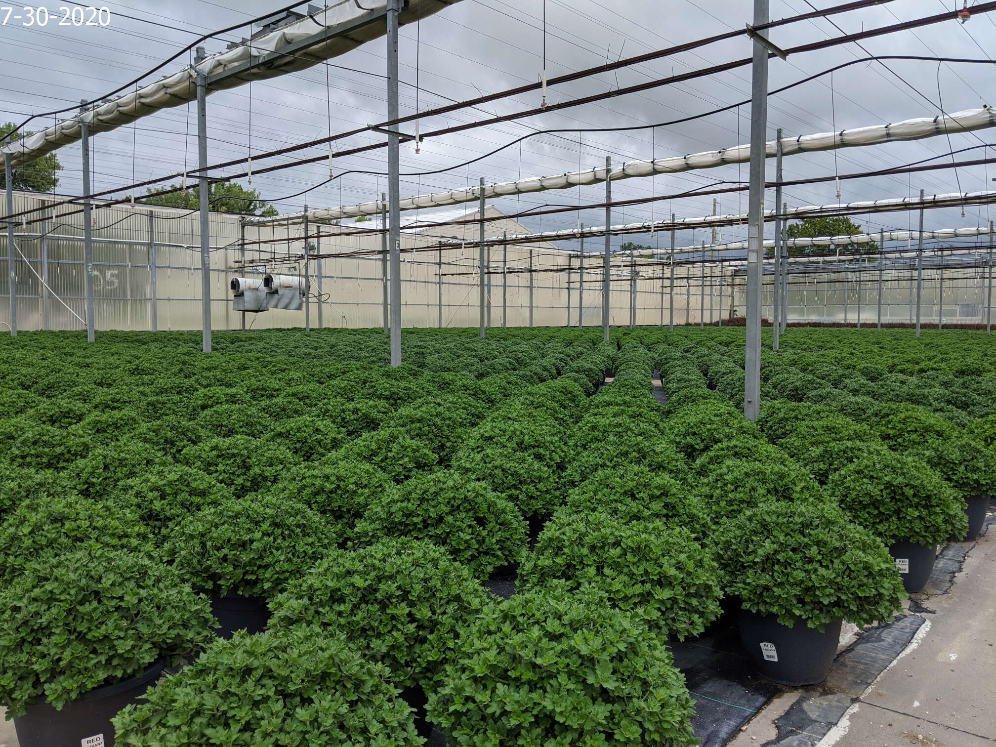 Homepage Neosho Gardens