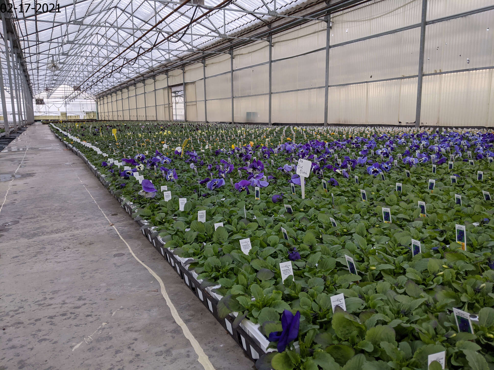 Homepage Neosho Gardens