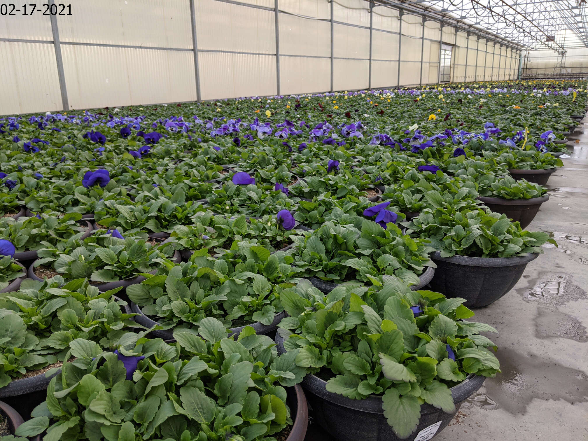 Homepage Neosho Gardens