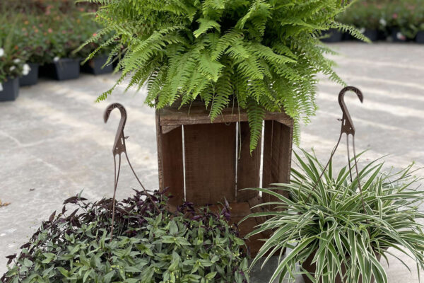 Foliage 10in Baskets