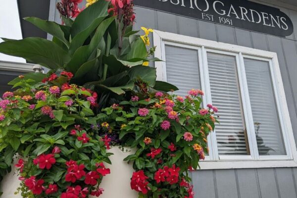 Planters Located at Neosho Gardens