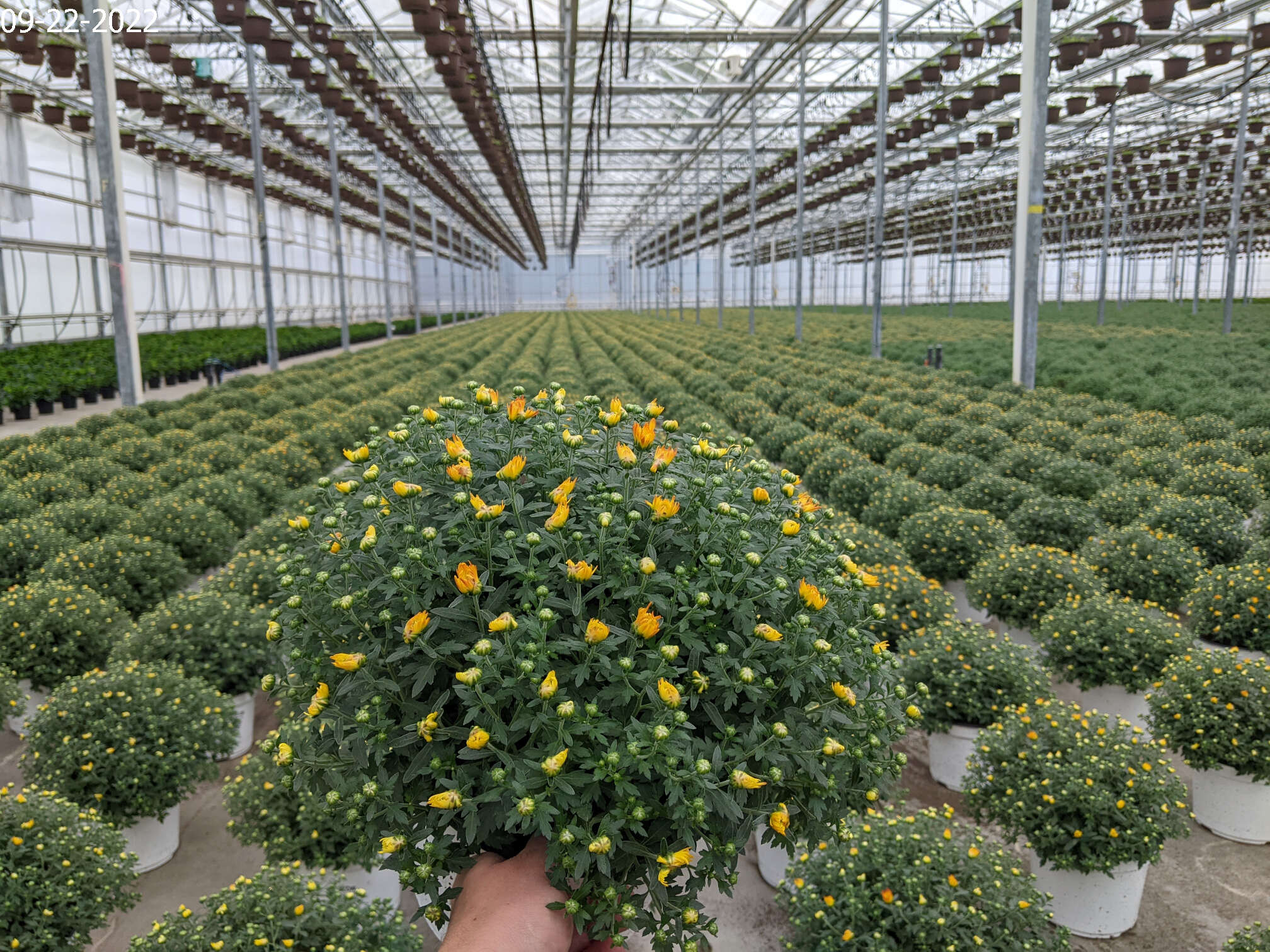 Homepage Neosho Gardens