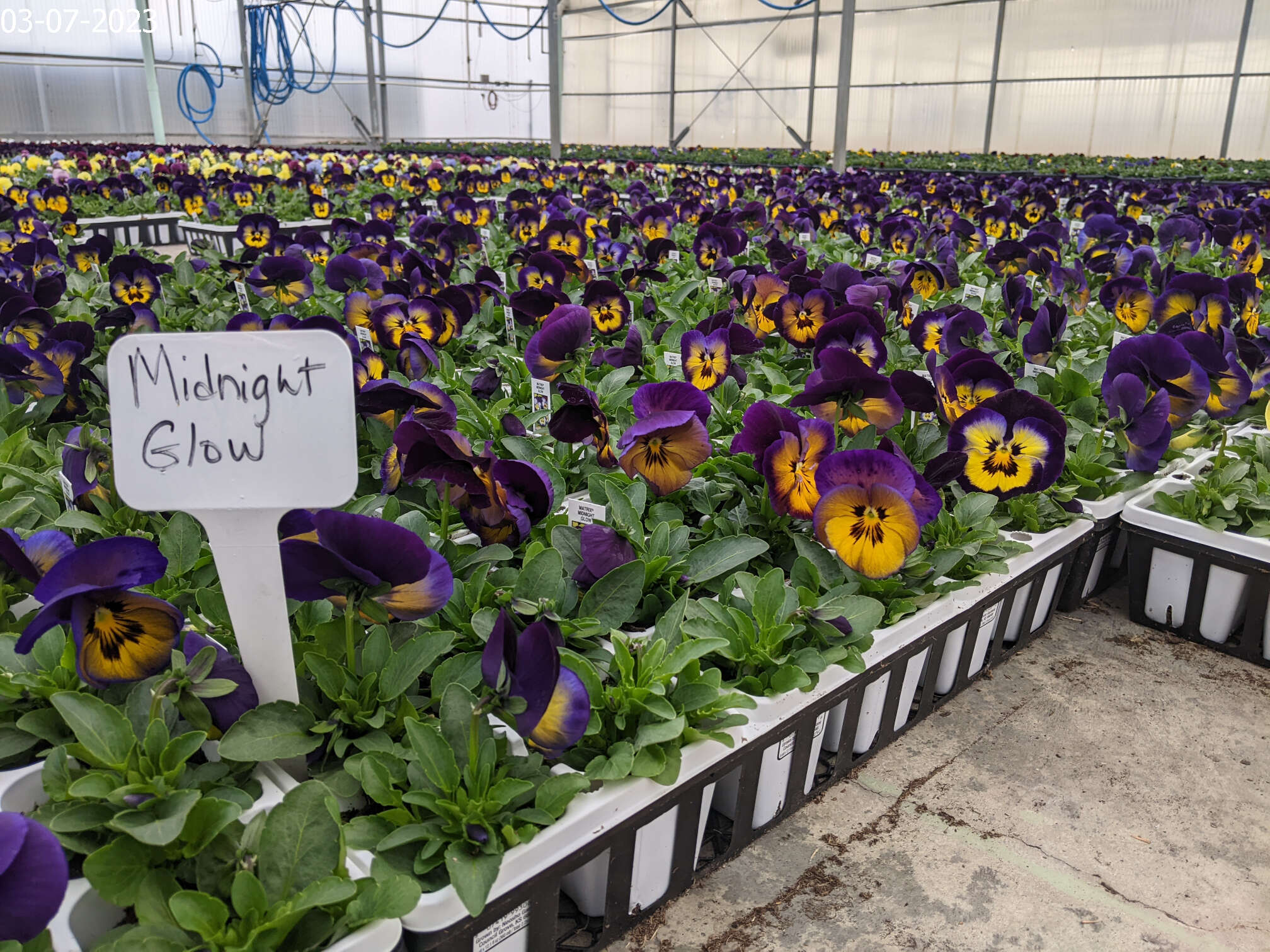 Homepage Neosho Gardens