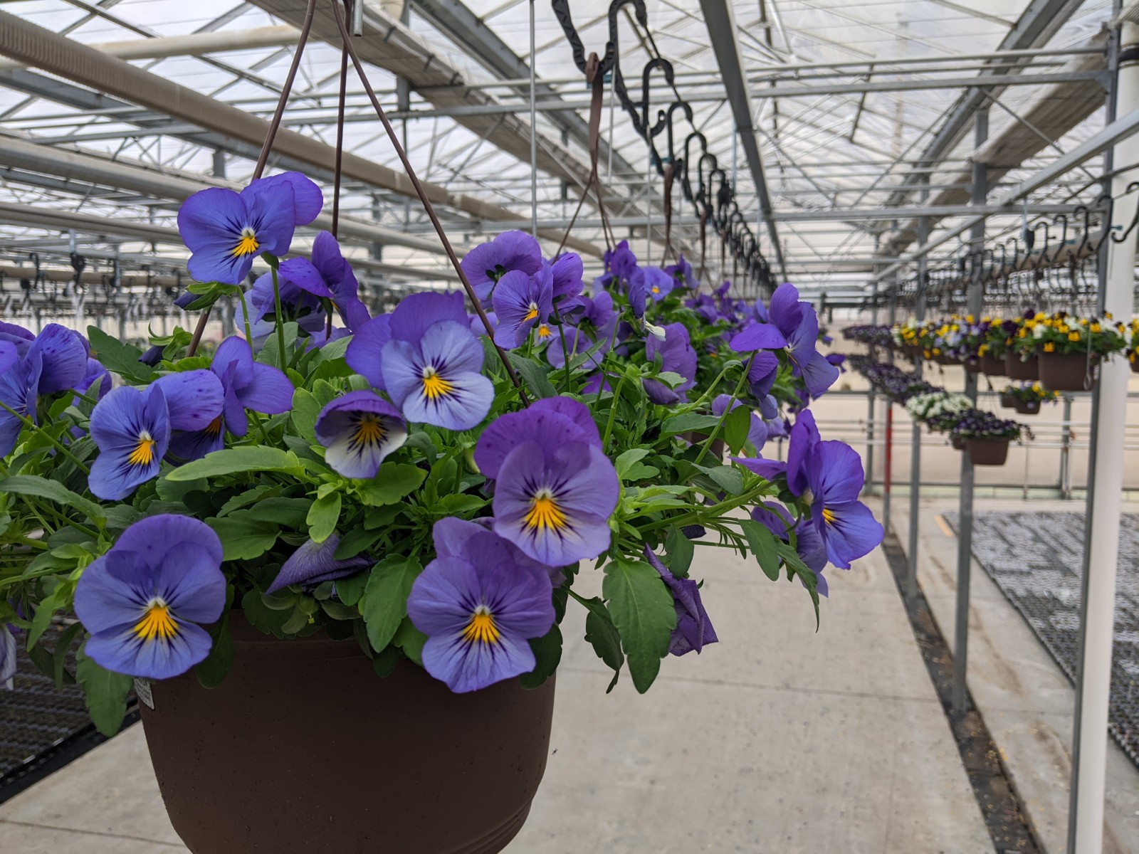 Homepage Neosho Gardens