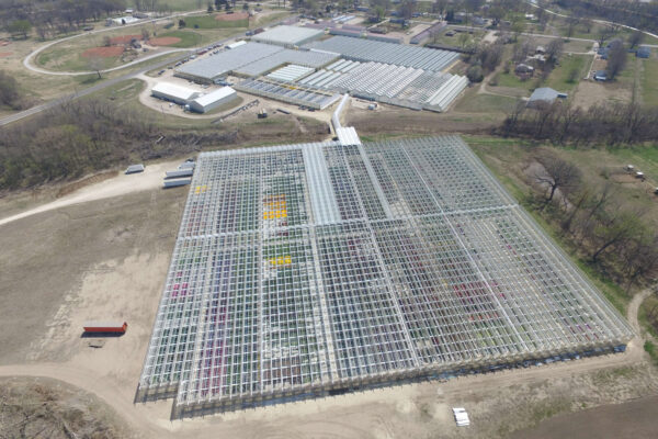 Entire 2023 Greenhouse Range