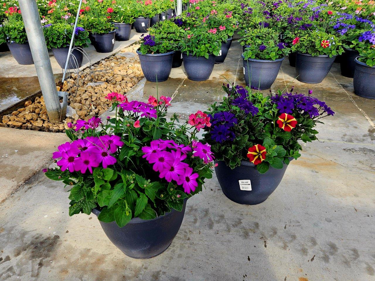 Homepage Neosho Gardens