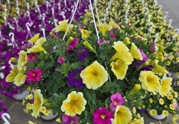 10inBKST MEET ME IN MIAMI