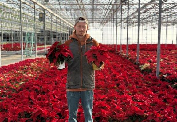 4.5IN POIN RED 4.5IN POIN RED