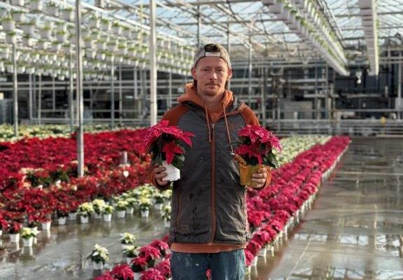 4.5IN POIN SPARKLING ROUGE 4.5IN POIN SPARKLING ROUGE