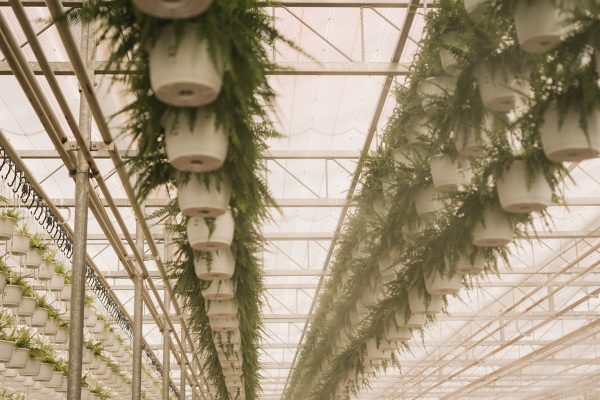 HUMIDITY HOUSE HUMIDITY HOUSE