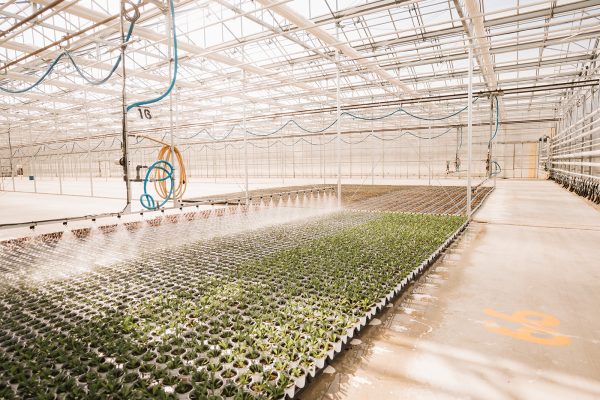 IRRIGATION SYSTEM IN ACTION BOOM IRRIGATION SYSTEM IN ACTION