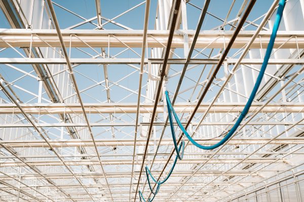 NW OPEN ROOF GREENHOUSE NW OPEN ROOF GREENHOUSE