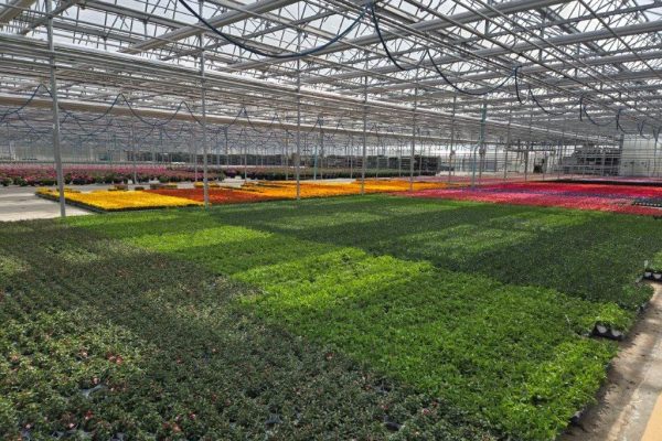 NW CROP PHOTO AND LOADING