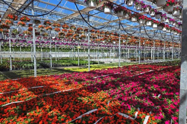 VIEW FROM SOUTH HOUSE VIEW FROM SOUTH HOUSE