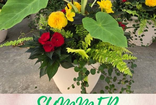 NEOSHO GARDENS SALE