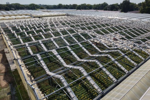 WEST GREENHOUSE